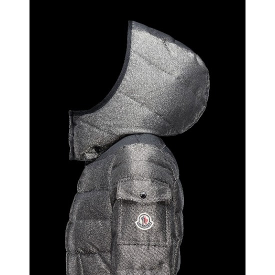 Moncler SABY Turtleneck Sølv Dunjakke Polyester/Polyamide Dame 41464954VA