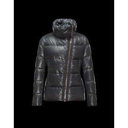 Moncler ILAY Turtleneck Drawstring Closure Steel Sølv Dunjakke Lacquered Nylon Dame 41456710WJ