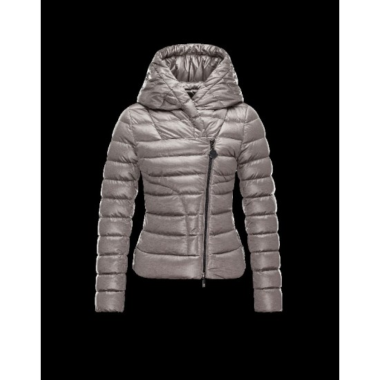 Moncler GAUBE V-Neckline Fixed Hood Sølv Dunjakke Polyester/Synthetic Dame 41456771IF